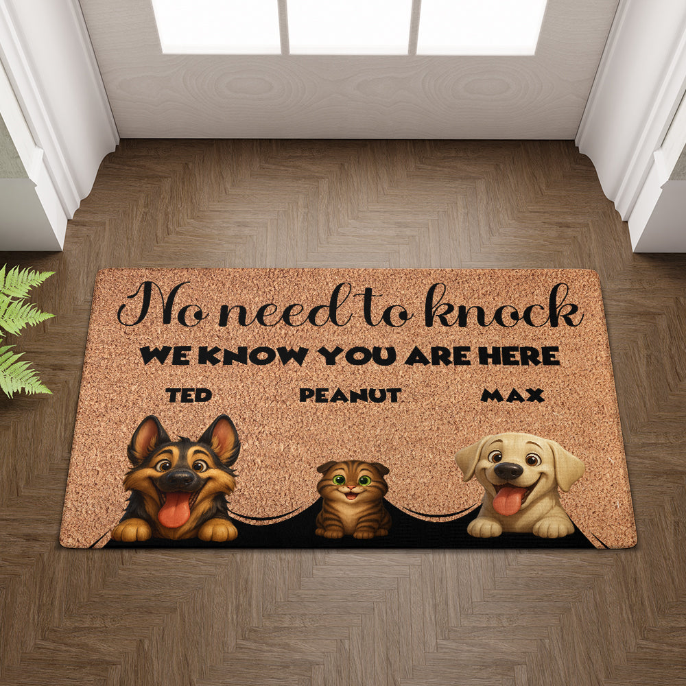 Personalized Pets Doormat - Up to 6 Pets - Decorative Mat - Custom Doormat