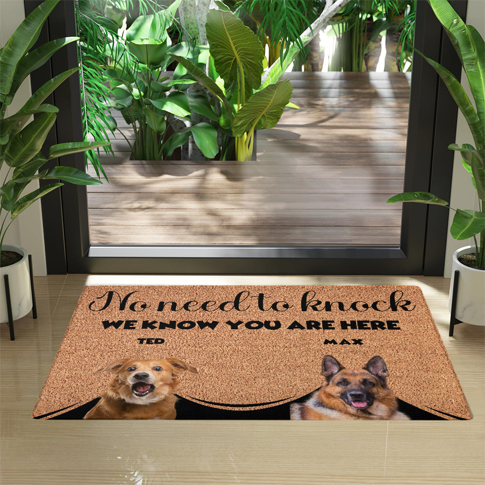 Personalized Pets Doormat - Up to 6 Pets 
- Decorative Mat - Upload Photo