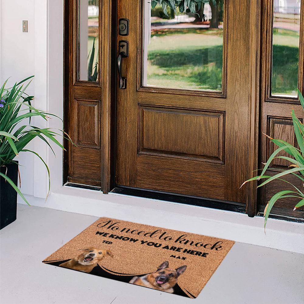 Personalized Pets Doormat - Up to 6 Pets 
- Decorative Mat - Upload Photo