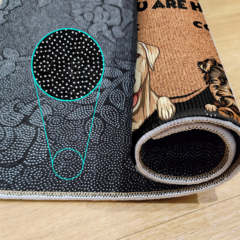 Personalized Pets Doormat - Up to 6 Pets - Decorative Mat - Upload Photo - All guests must be approved by V2