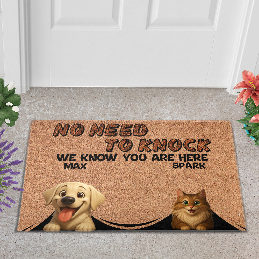 Personalized Pets Doormat - Up to 6 Pets - Decorative Mat - Custom Doormat V2