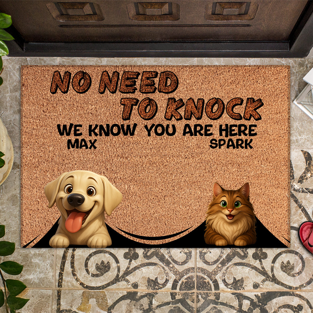 Personalized Pets Doormat - Up to 6 Pets - Decorative Mat - Custom Doormat V2